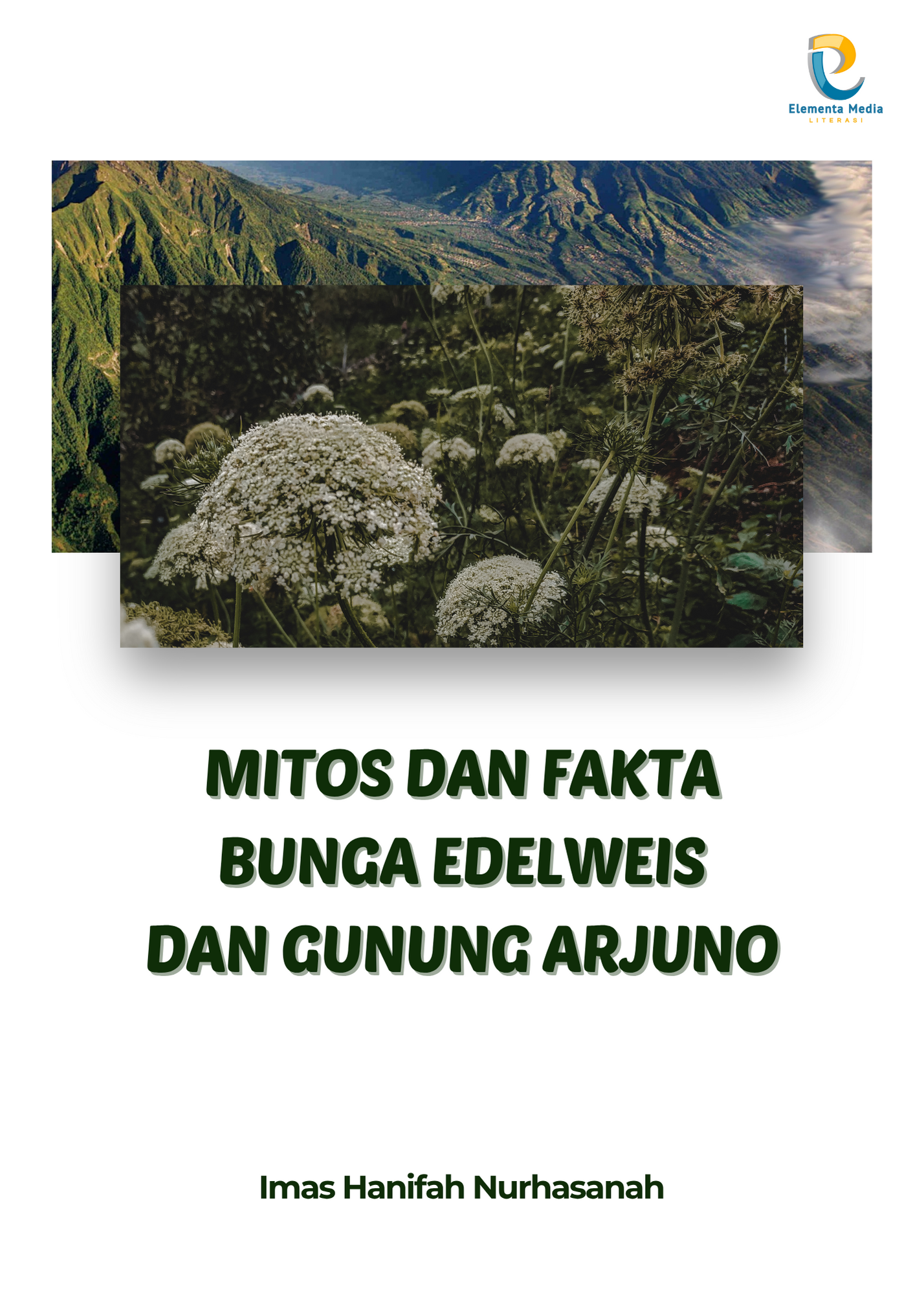Mitos dan Fakta Bunga Edelweis dan Gunung Arjuno